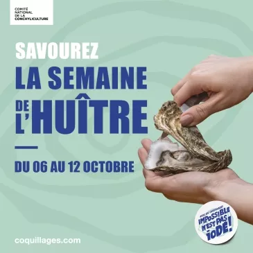 Une personne décrochant une huître de sa coquille lors d'une dégustation, la scène se déroule sur une table de pique-nique en bois sur laquelle est disposée une assiette de douze huîtres et un verre de vin blanc.
